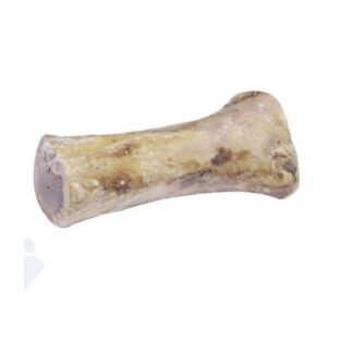 Femur Bone Natural 6 inch