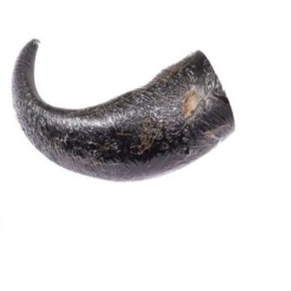 Horn Small